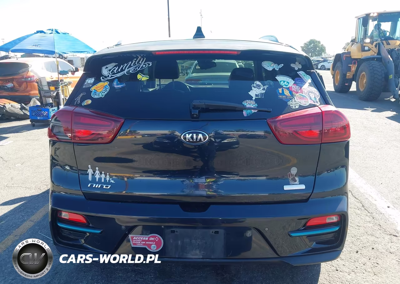 2020 Kia Niro Ev Ex Premium VIN:KNDCE3LG0L5081033 - 16