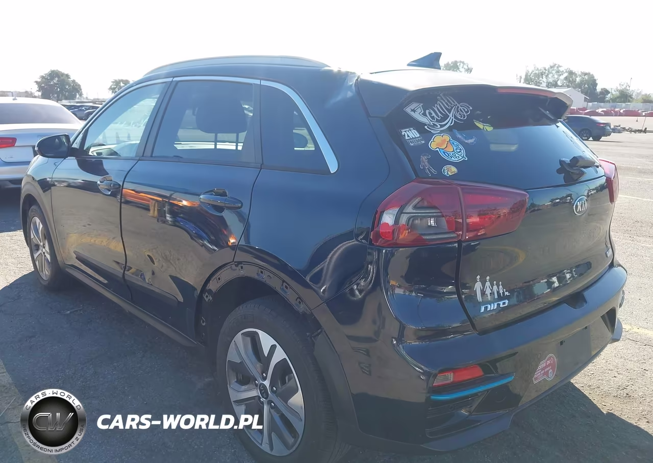 2020 Kia Niro Ev Ex Premium VIN:KNDCE3LG0L5081033 - 6