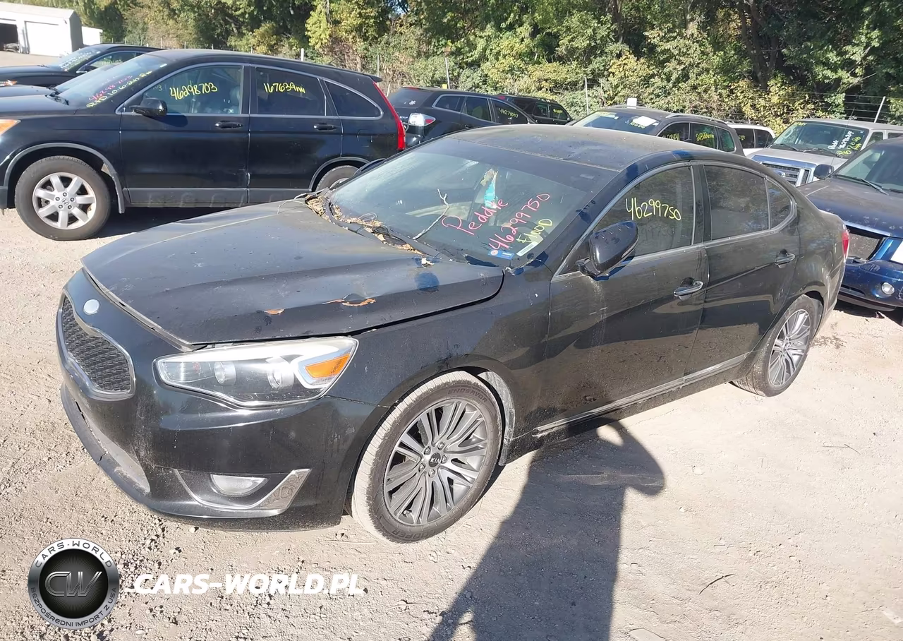2014 Kia Cadenza Premium VIN:KNALN4D71E5137954 - 2