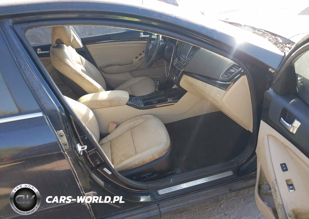 2014 Kia Cadenza Premium VIN:KNALN4D71E5137954 - 5