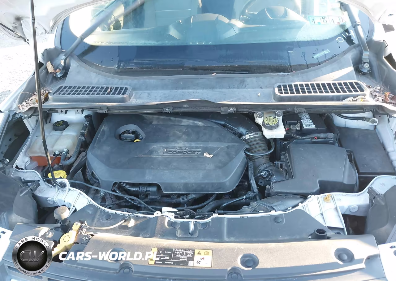 2014 Ford Escape Se VIN:1FMCU0GX7EUC10014 - 10