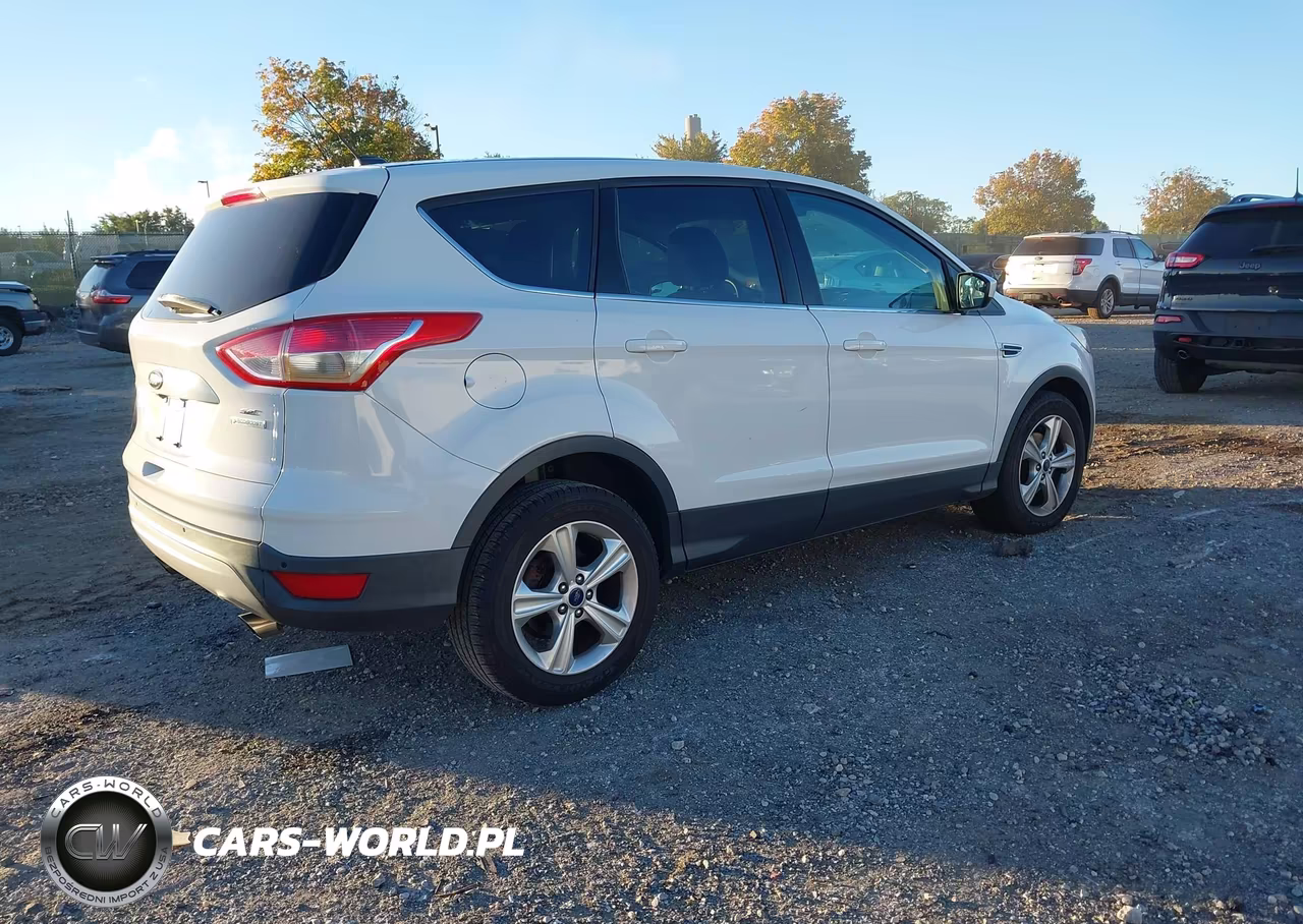 2014 Ford Escape Se VIN:1FMCU0GX7EUC10014 - 4