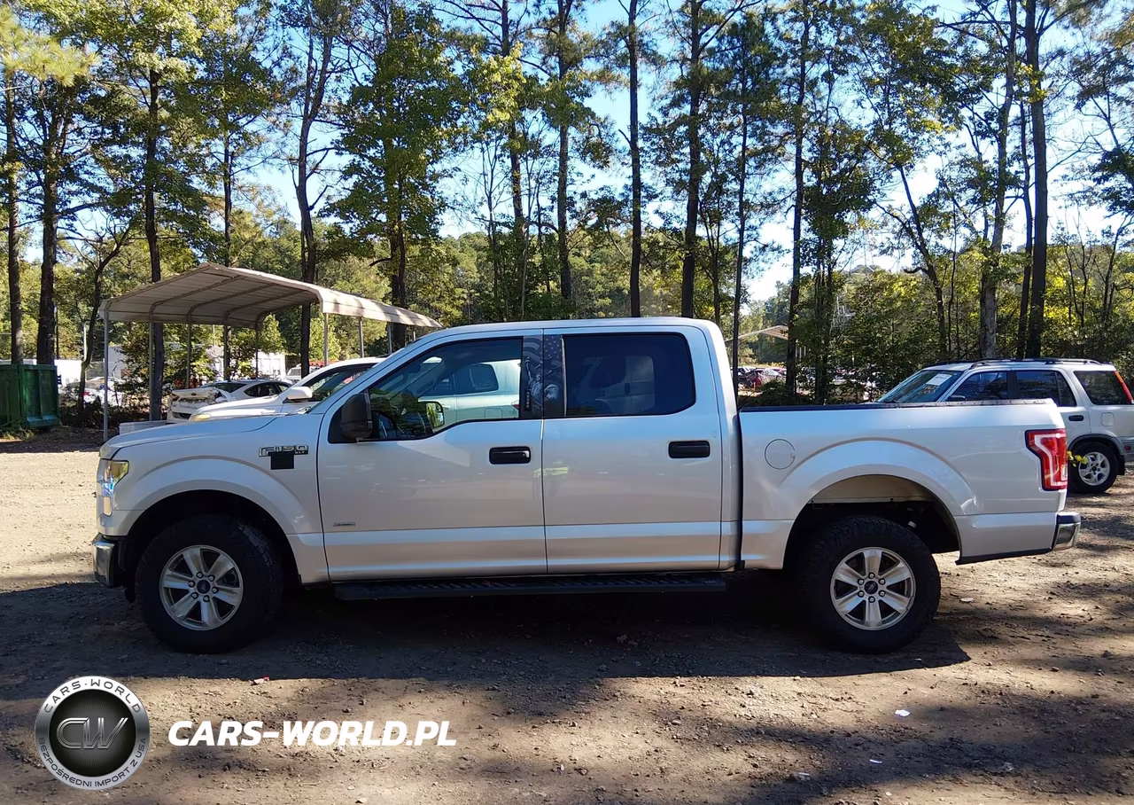 2016 Ford F-150 Xlt VIN:1FTEW1CPXGKF65891 - 14