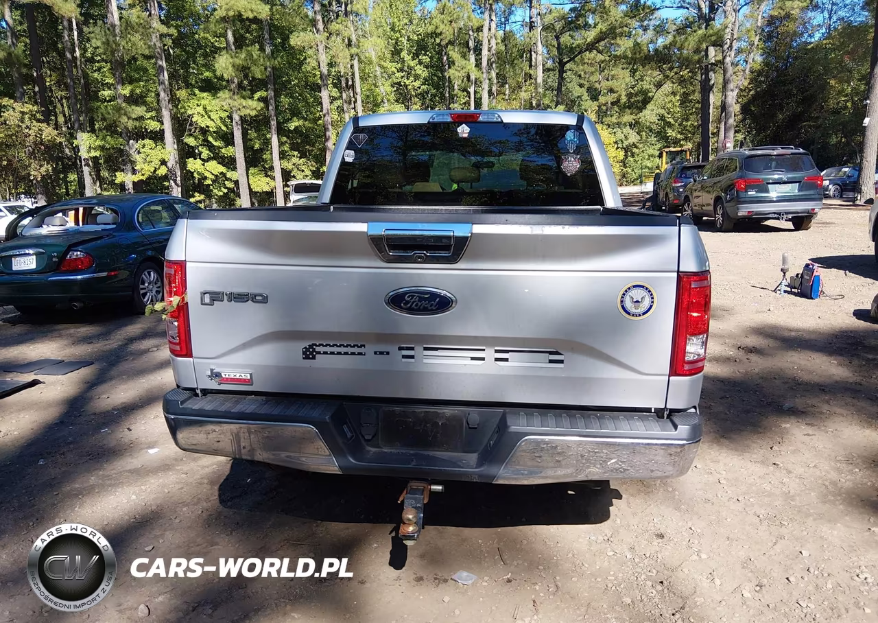 2016 Ford F-150 Xlt VIN:1FTEW1CPXGKF65891 - 16