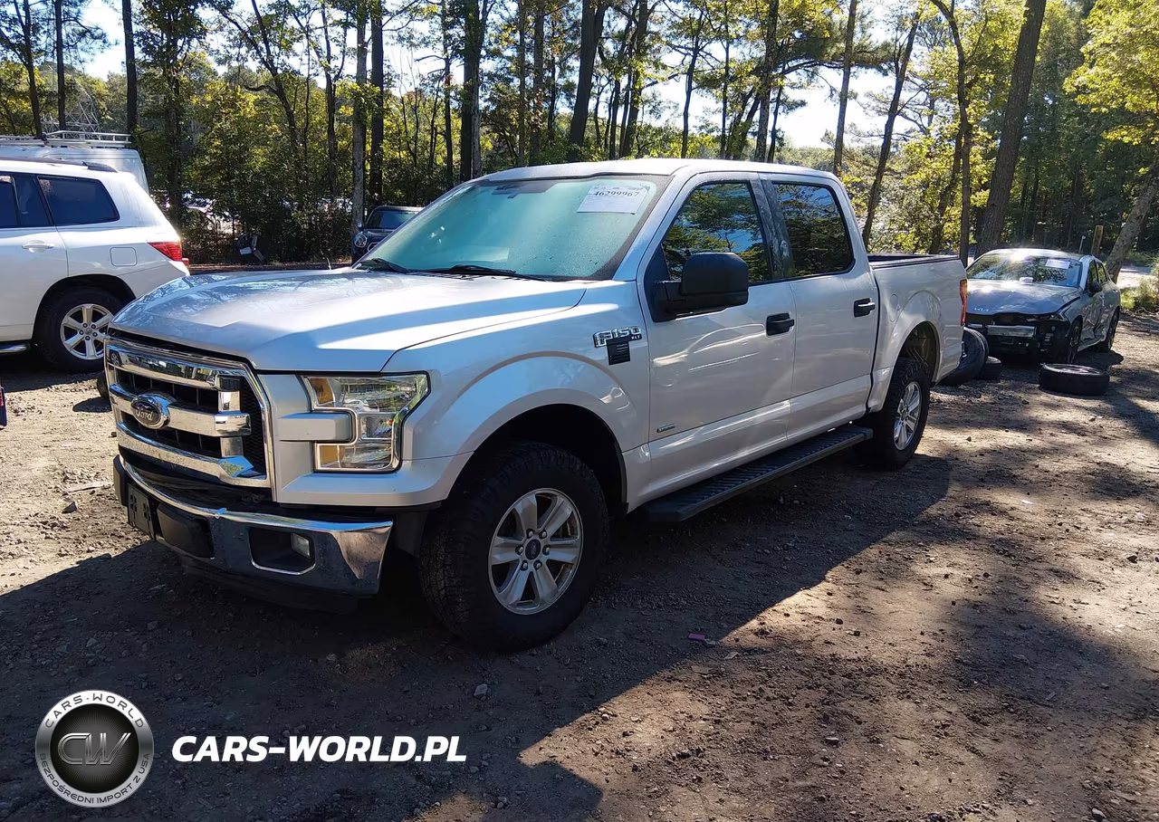 2016 Ford F-150 Xlt VIN:1FTEW1CPXGKF65891 - 2