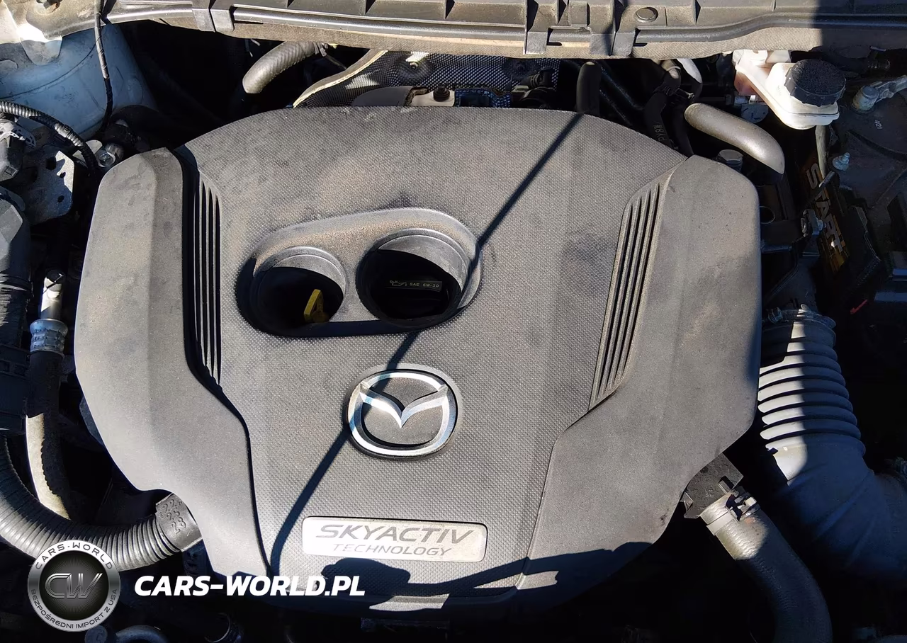 2016 Mazda Cx-9 Sport VIN:JM3TCBBY0G0117923 - 10