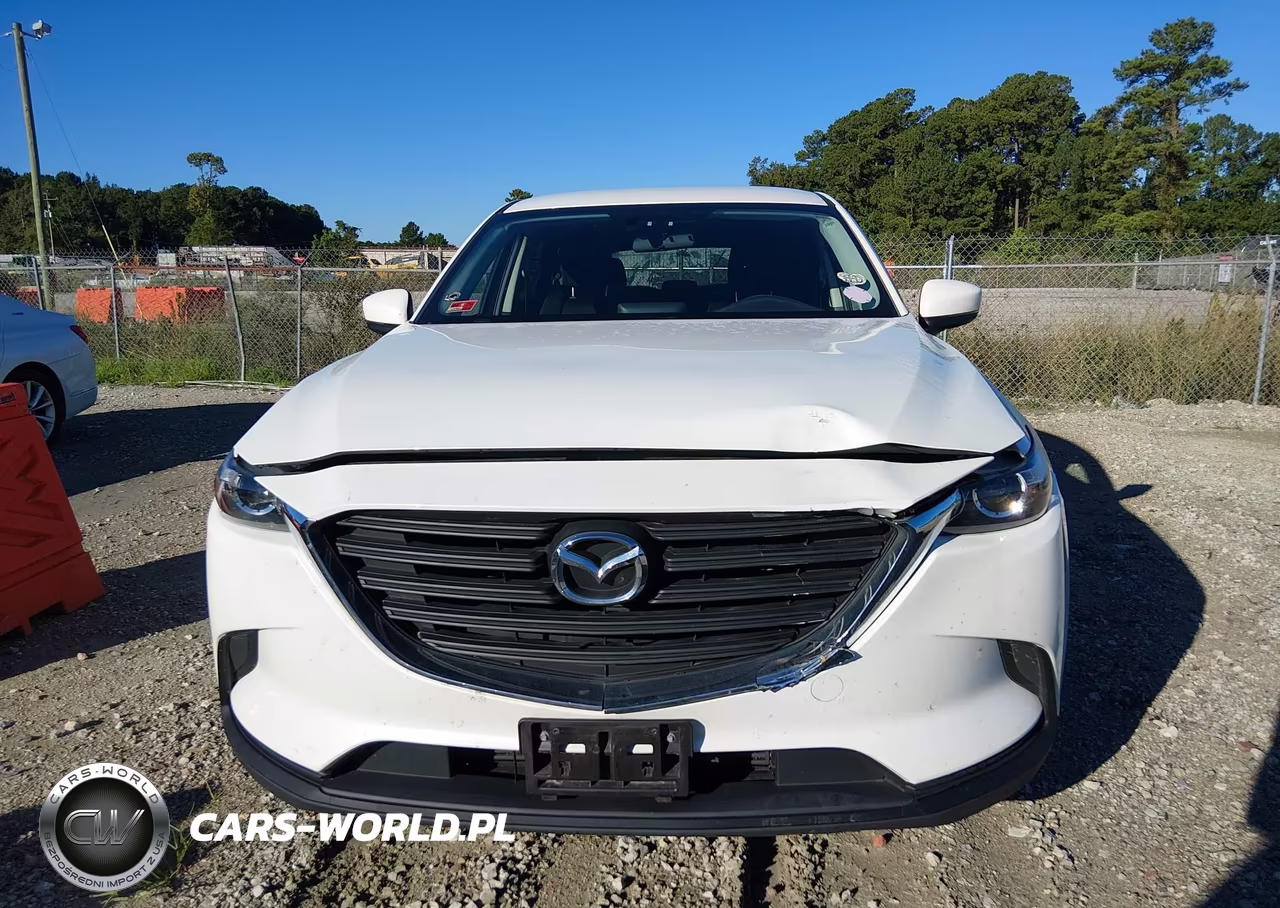 2016 Mazda Cx-9 Sport VIN:JM3TCBBY0G0117923 - 12