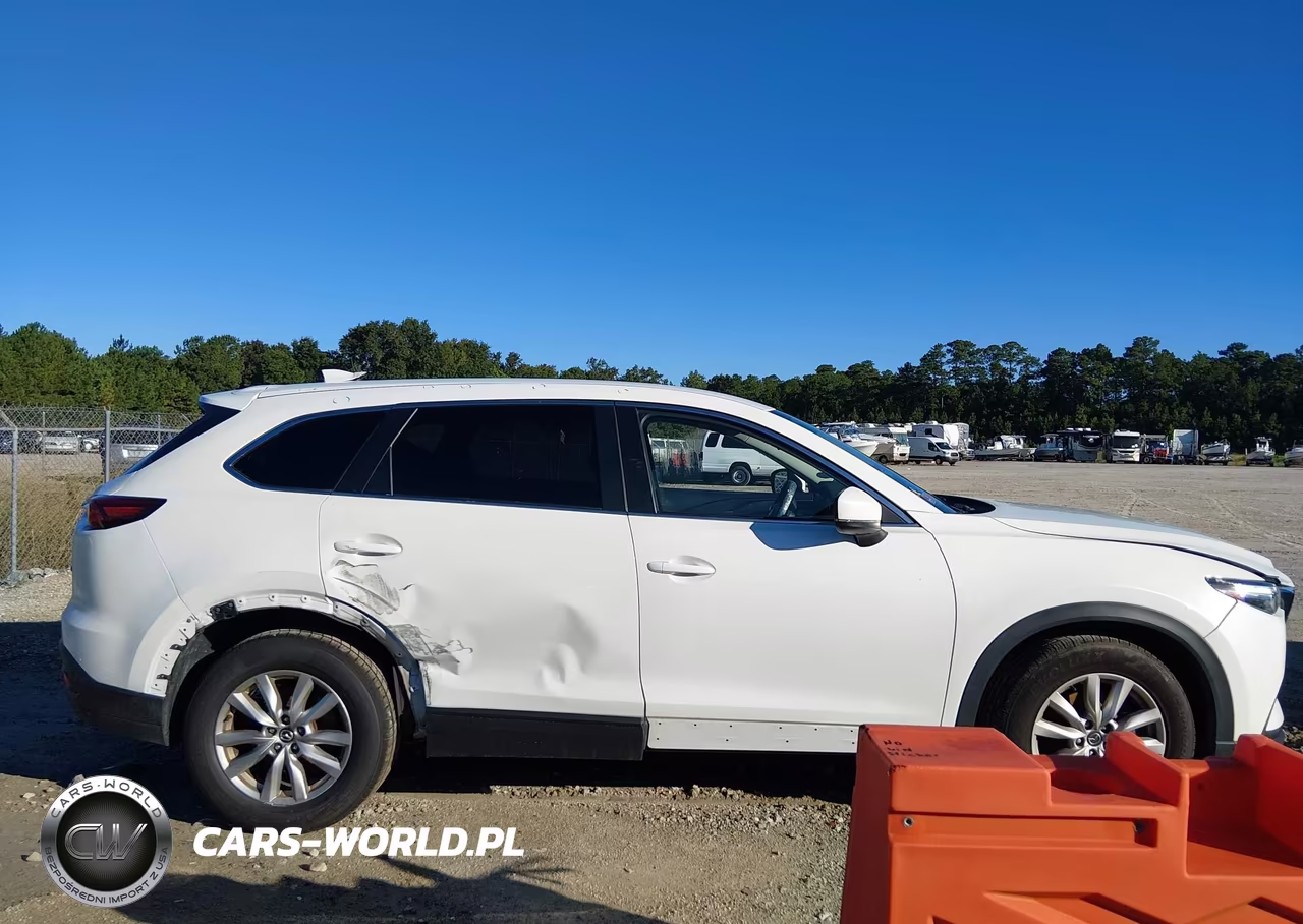 2016 Mazda Cx-9 Sport VIN:JM3TCBBY0G0117923 - 13