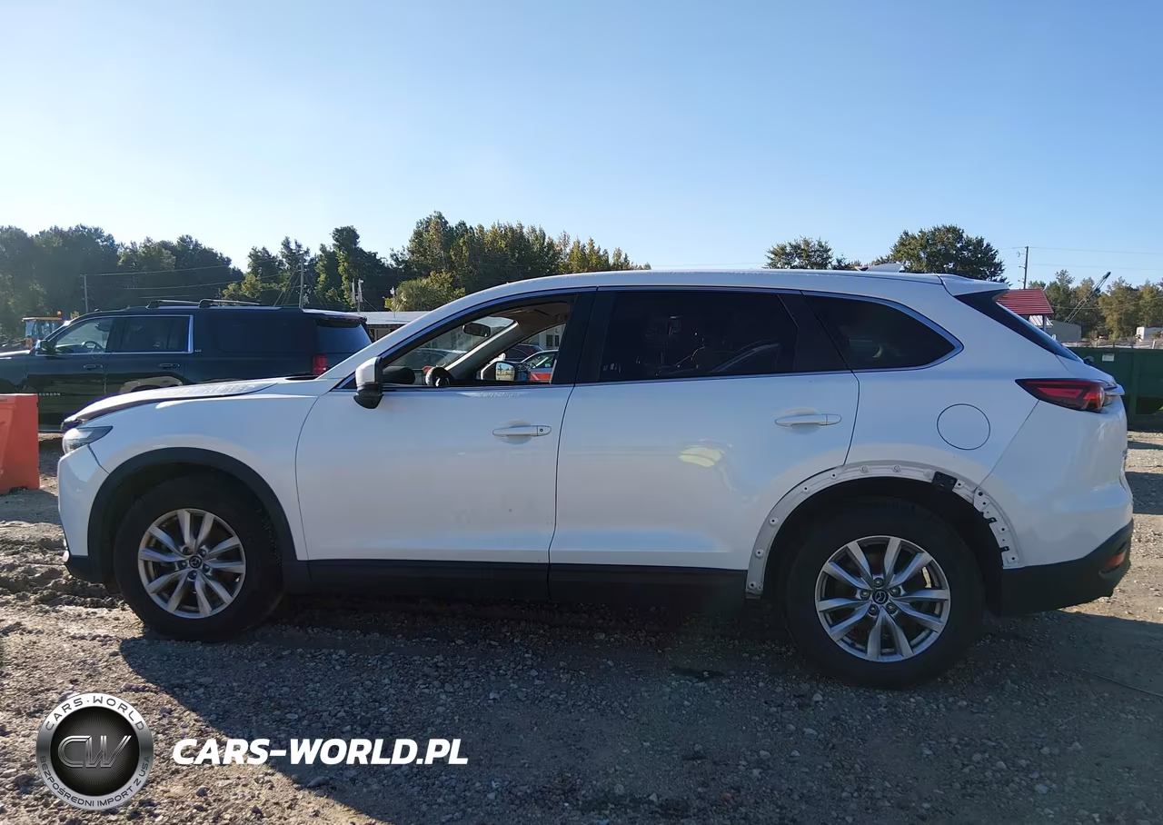 2016 Mazda Cx-9 Sport VIN:JM3TCBBY0G0117923 - 14