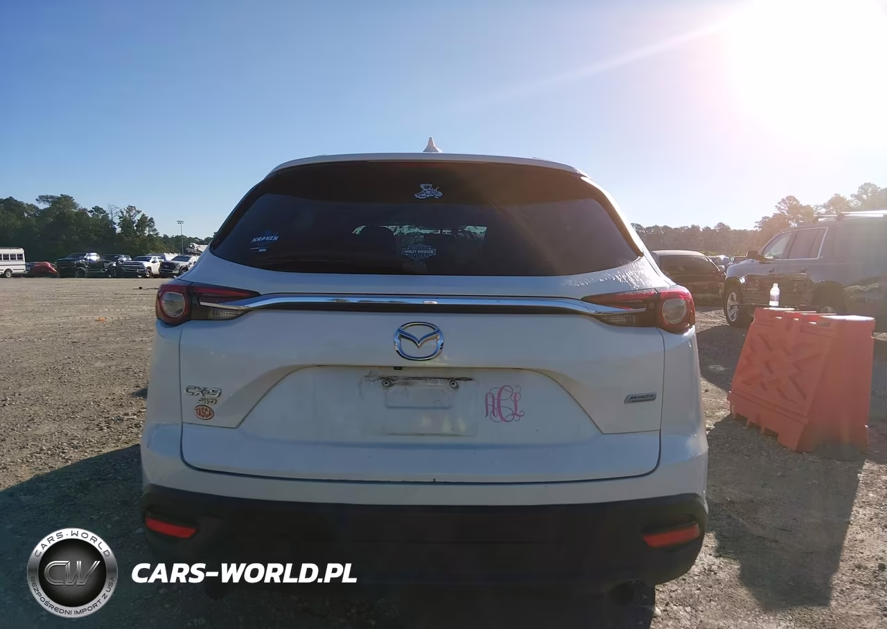 2016 Mazda Cx-9 Sport VIN:JM3TCBBY0G0117923 - 16