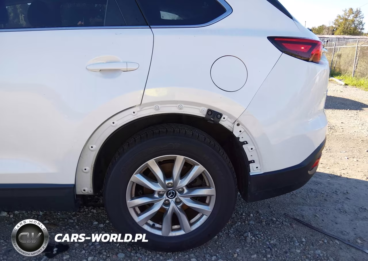 2016 Mazda Cx-9 Sport VIN:JM3TCBBY0G0117923 - 17