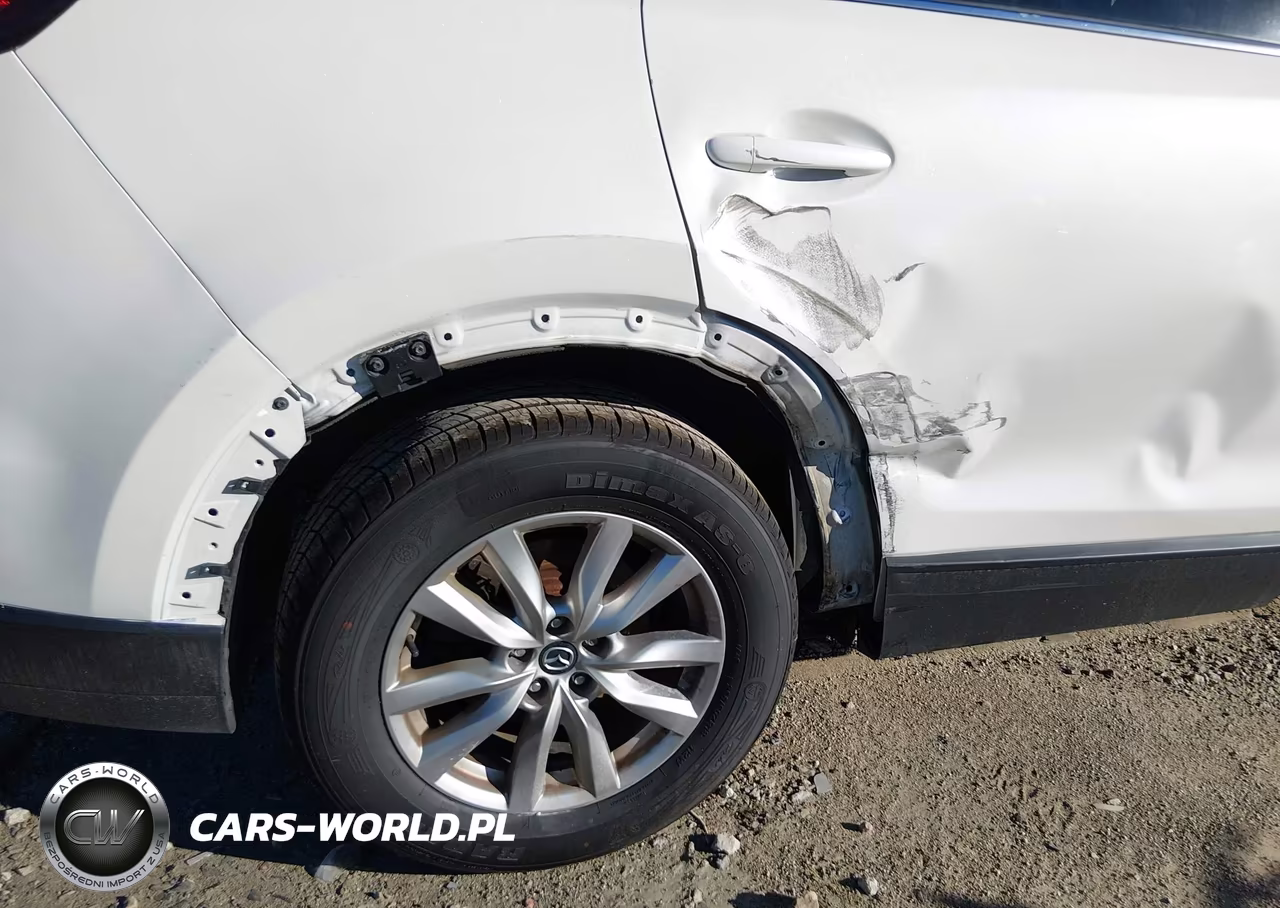 2016 Mazda Cx-9 Sport VIN:JM3TCBBY0G0117923 - 18