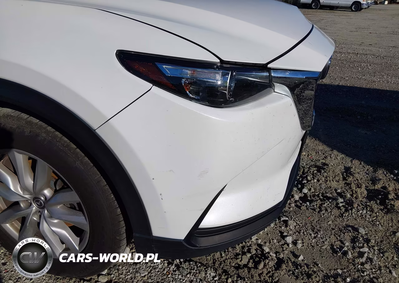 2016 Mazda Cx-9 Sport VIN:JM3TCBBY0G0117923 - 20