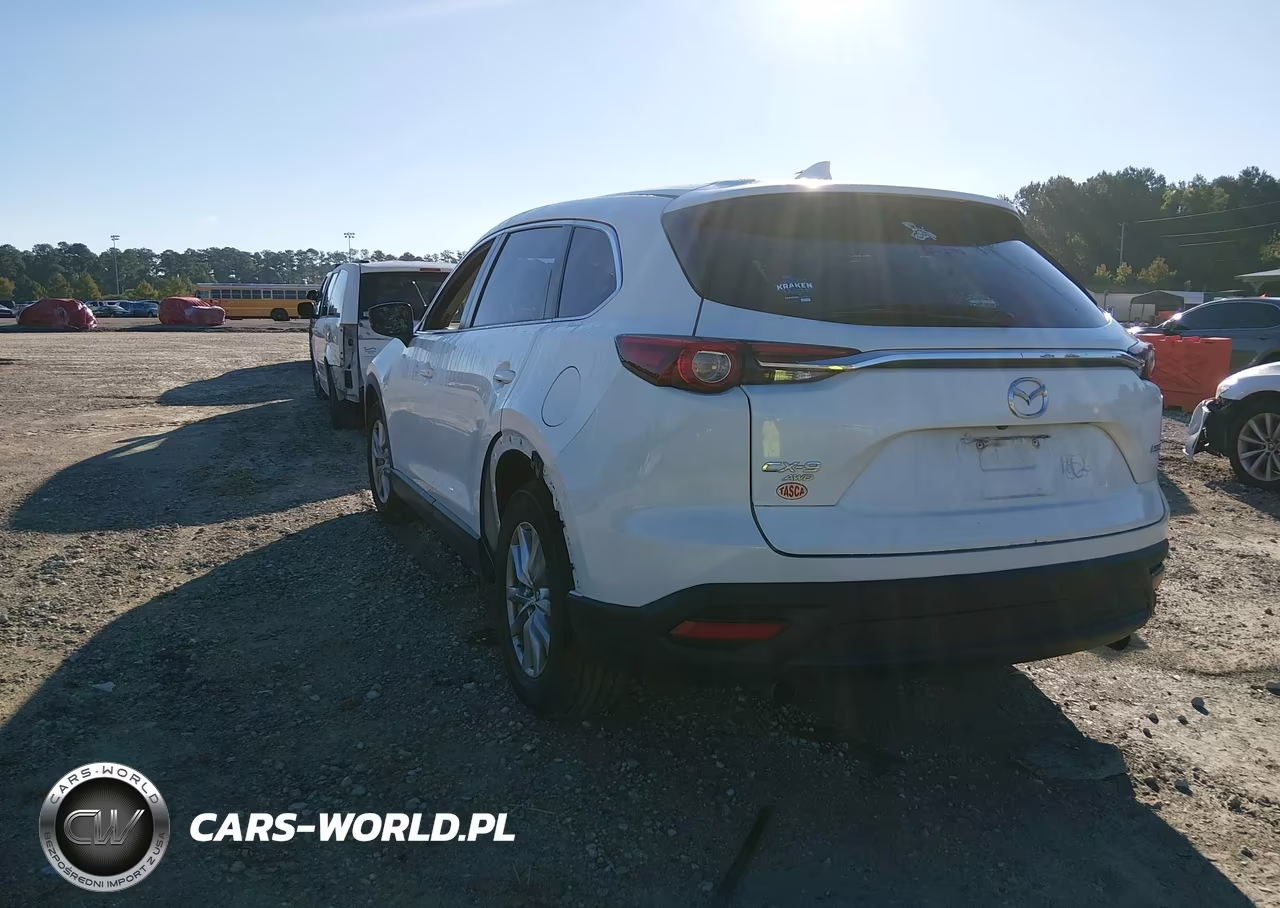 2016 Mazda Cx-9 Sport VIN:JM3TCBBY0G0117923 - 3