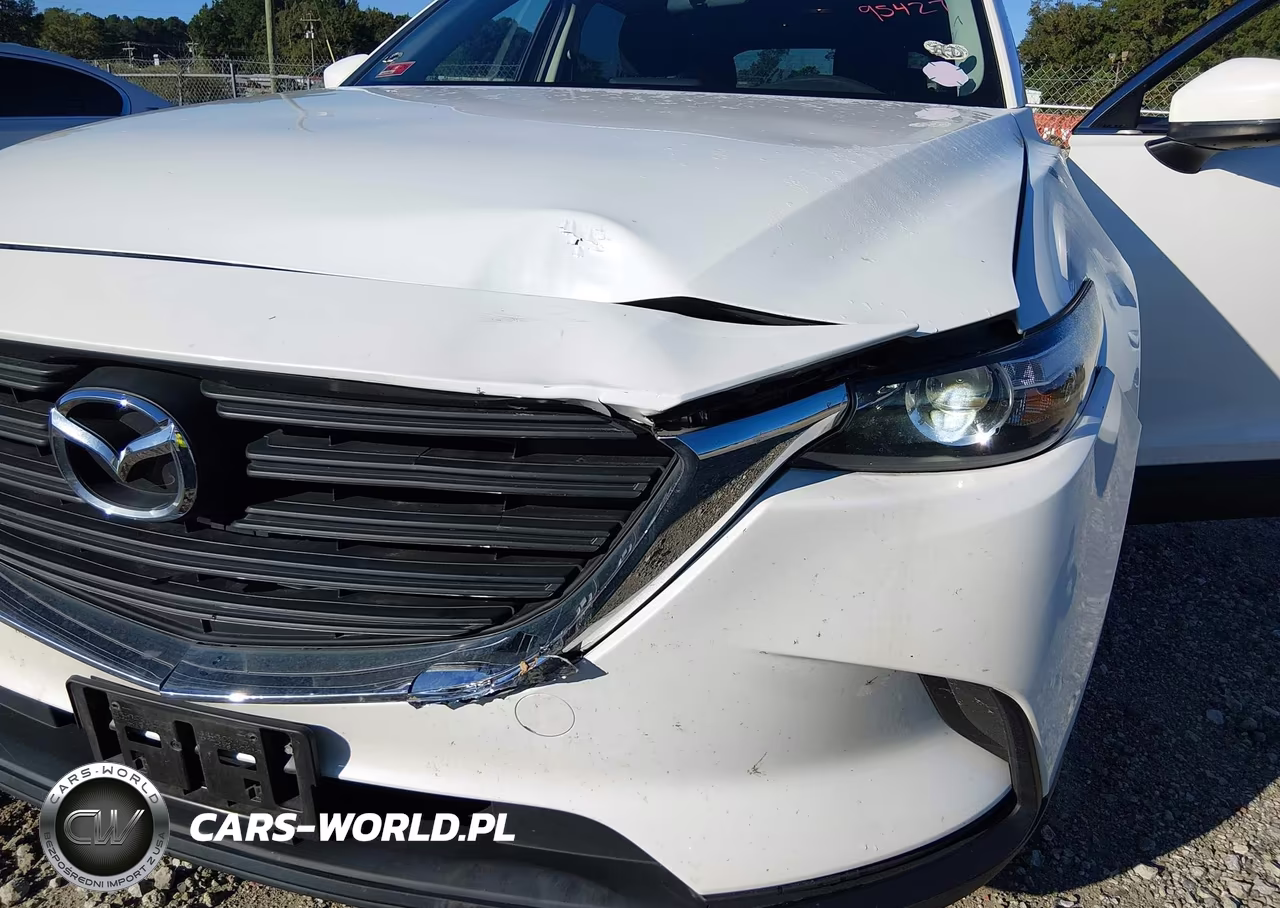 2016 Mazda Cx-9 Sport VIN:JM3TCBBY0G0117923 - 6