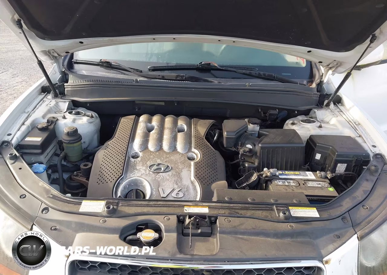 2007 Hyundai Santa Fe Gls VIN:5NMSG13D27H067993 - 10