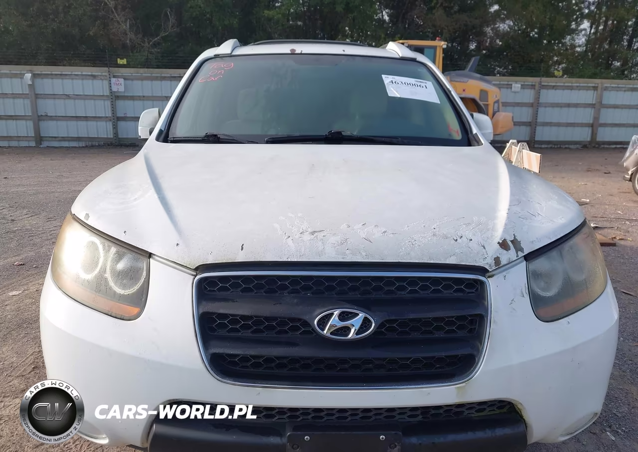 2007 Hyundai Santa Fe Gls VIN:5NMSG13D27H067993 - 6