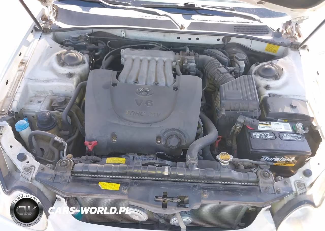 2003 Hyundai Sonata Gls-Lx VIN:KMHWF35H93A786769 - 10