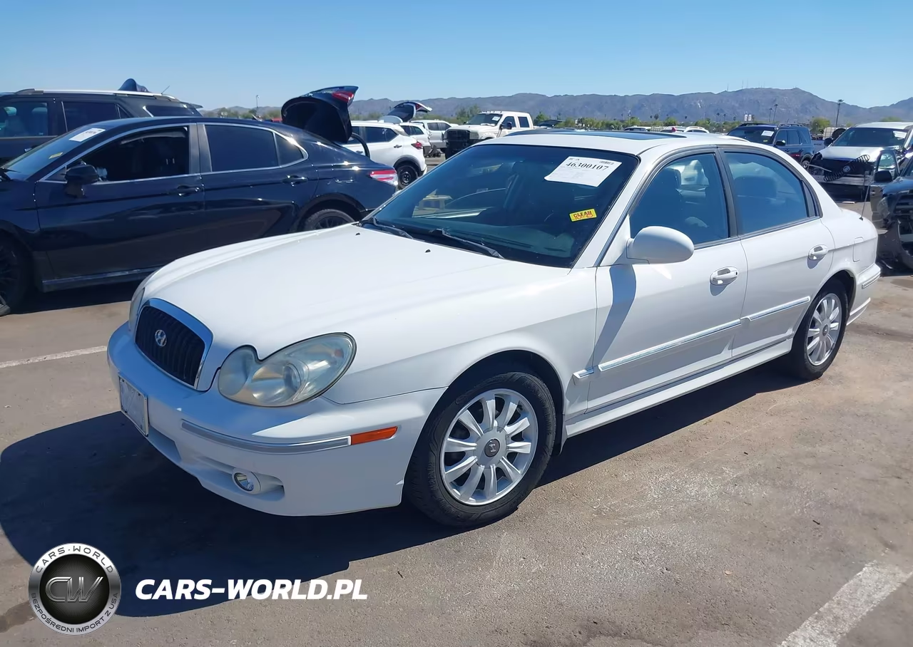 2003 Hyundai Sonata Gls-Lx VIN:KMHWF35H93A786769 - 2