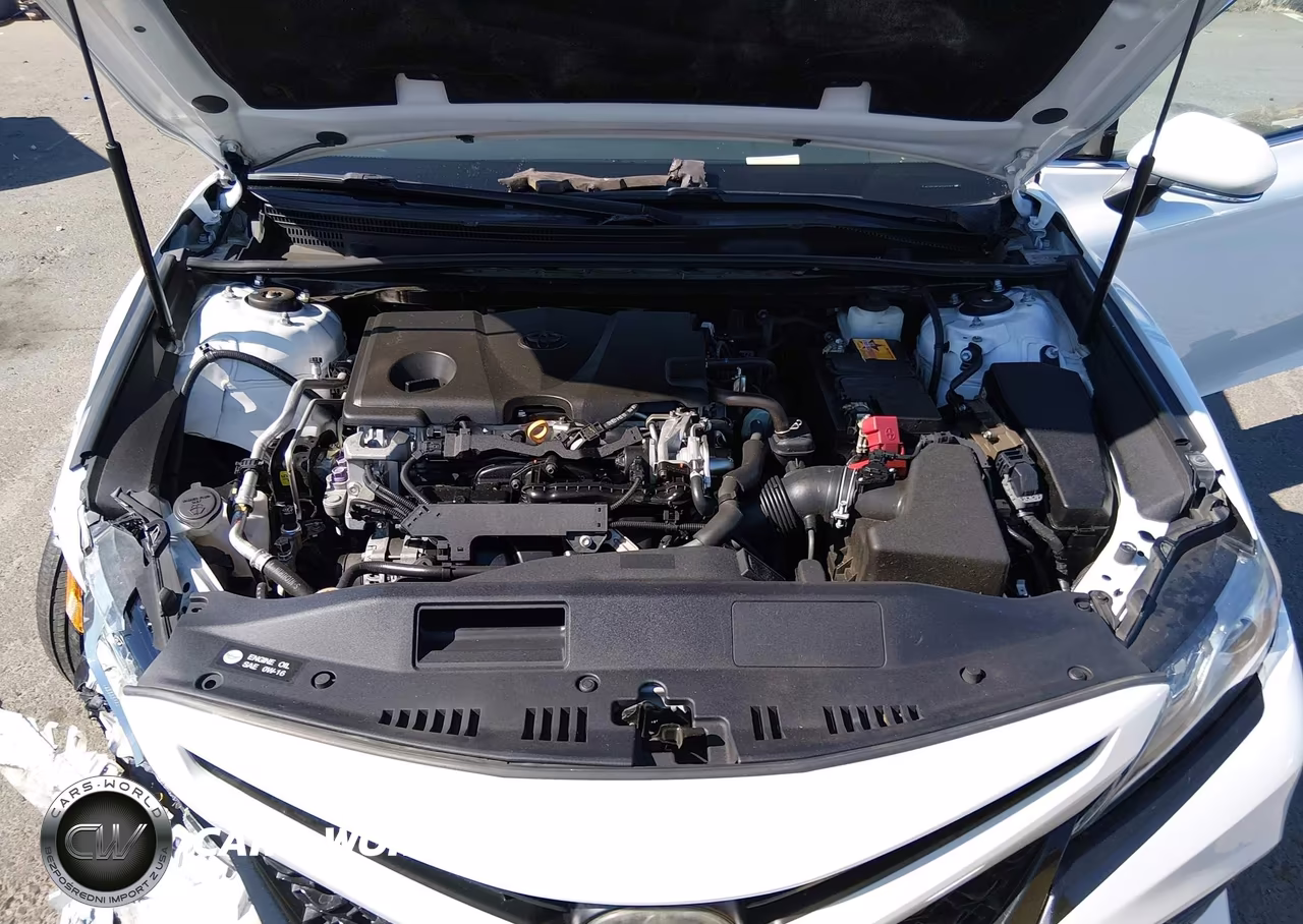 2019 Toyota Camry Xse VIN:4T1B61HK1KU701253 - 10
