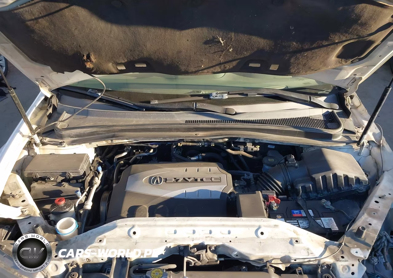 2009 Acura Mdx Sport Package VIN:2HNYD28819H505948 - 10