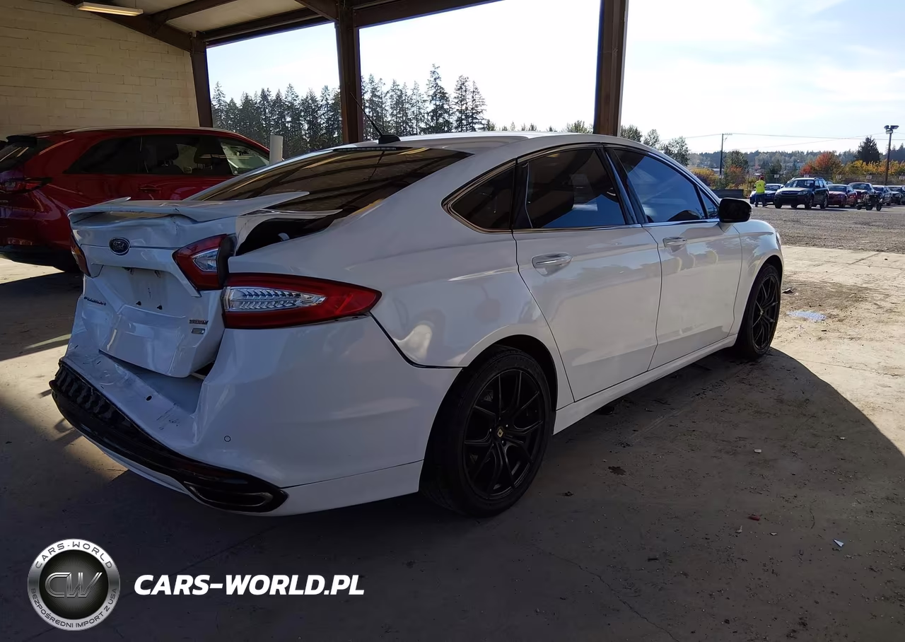 2014 Ford Fusion Titanium VIN:3FA6P0K99ER367249 - 4