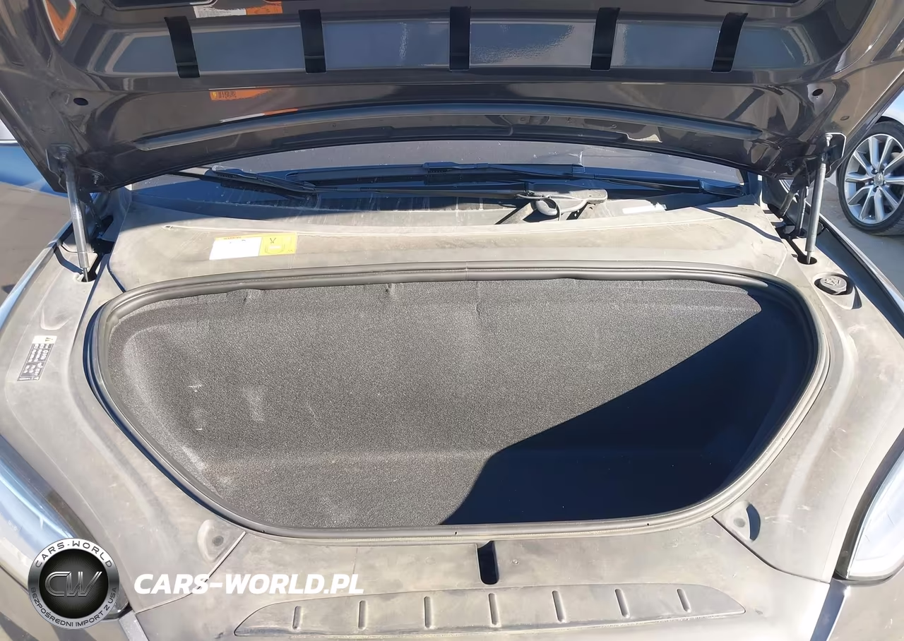 2017 Tesla Model X 100D-75D-90D VIN:5YJXCBE29HF078382 - 10