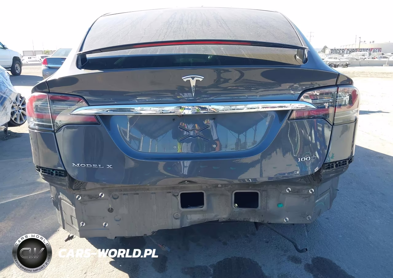 2017 Tesla Model X 100D-75D-90D VIN:5YJXCBE29HF078382 - 6