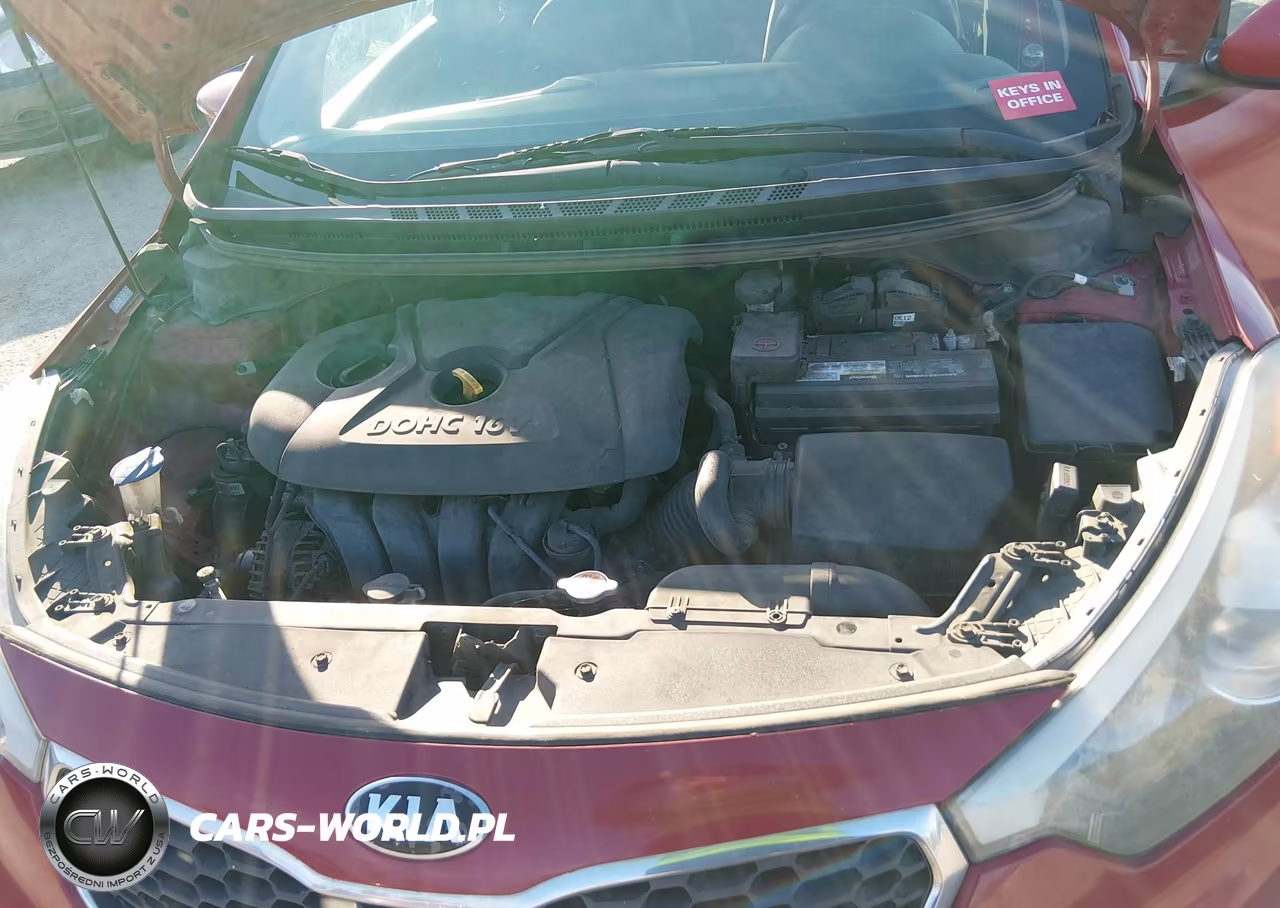 2014 Kia Forte Lx VIN:KNAFX4A66E5073607 - 10
