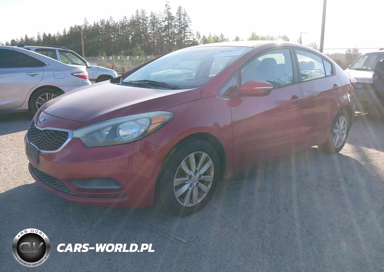 2014 Kia Forte Lx VIN:KNAFX4A66E5073607 - 2