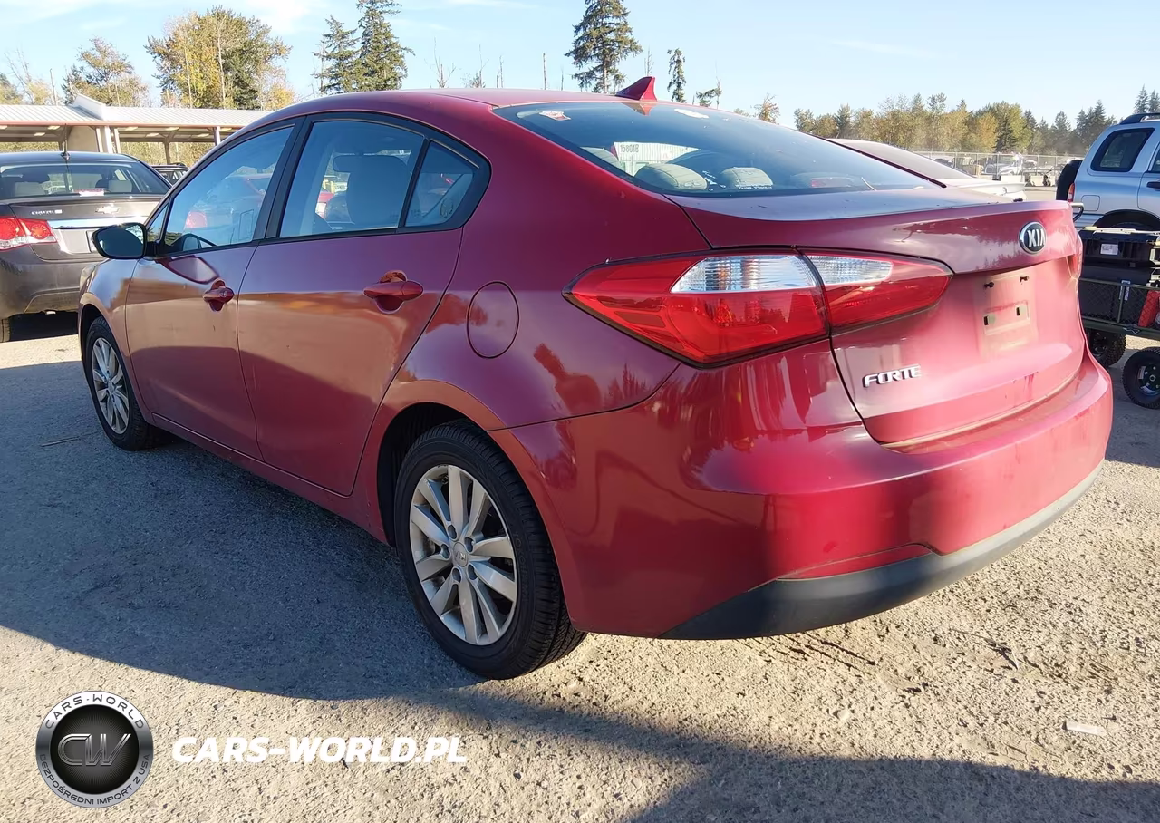 2014 Kia Forte Lx VIN:KNAFX4A66E5073607 - 3