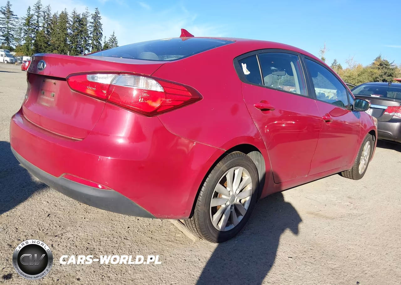 2014 Kia Forte Lx VIN:KNAFX4A66E5073607 - 4