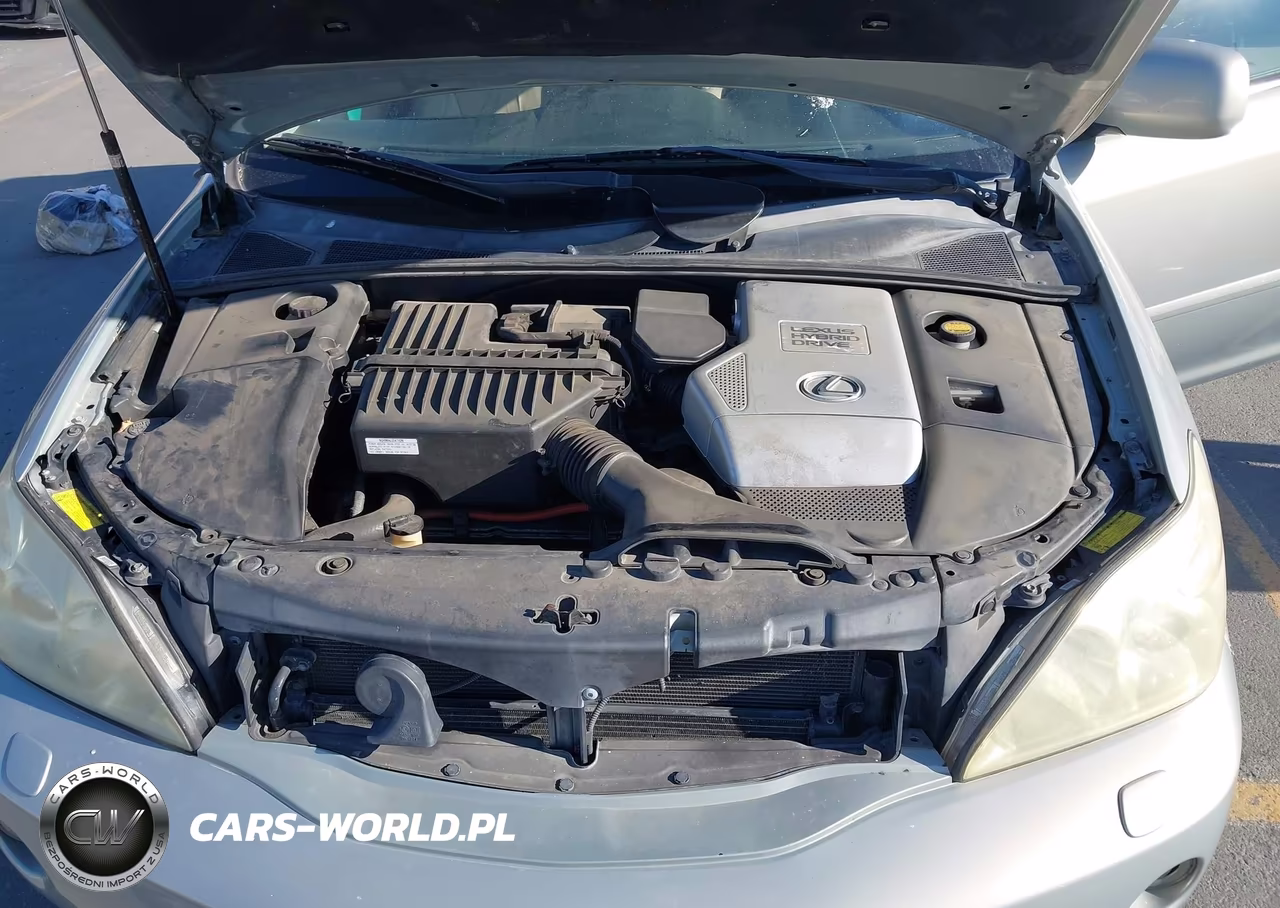 2007 Lexus Rx 400H VIN:JTJGW31U472001437 - 10
