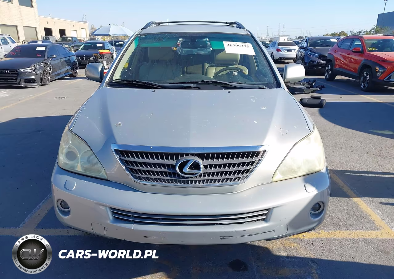 2007 Lexus Rx 400H VIN:JTJGW31U472001437 - 12