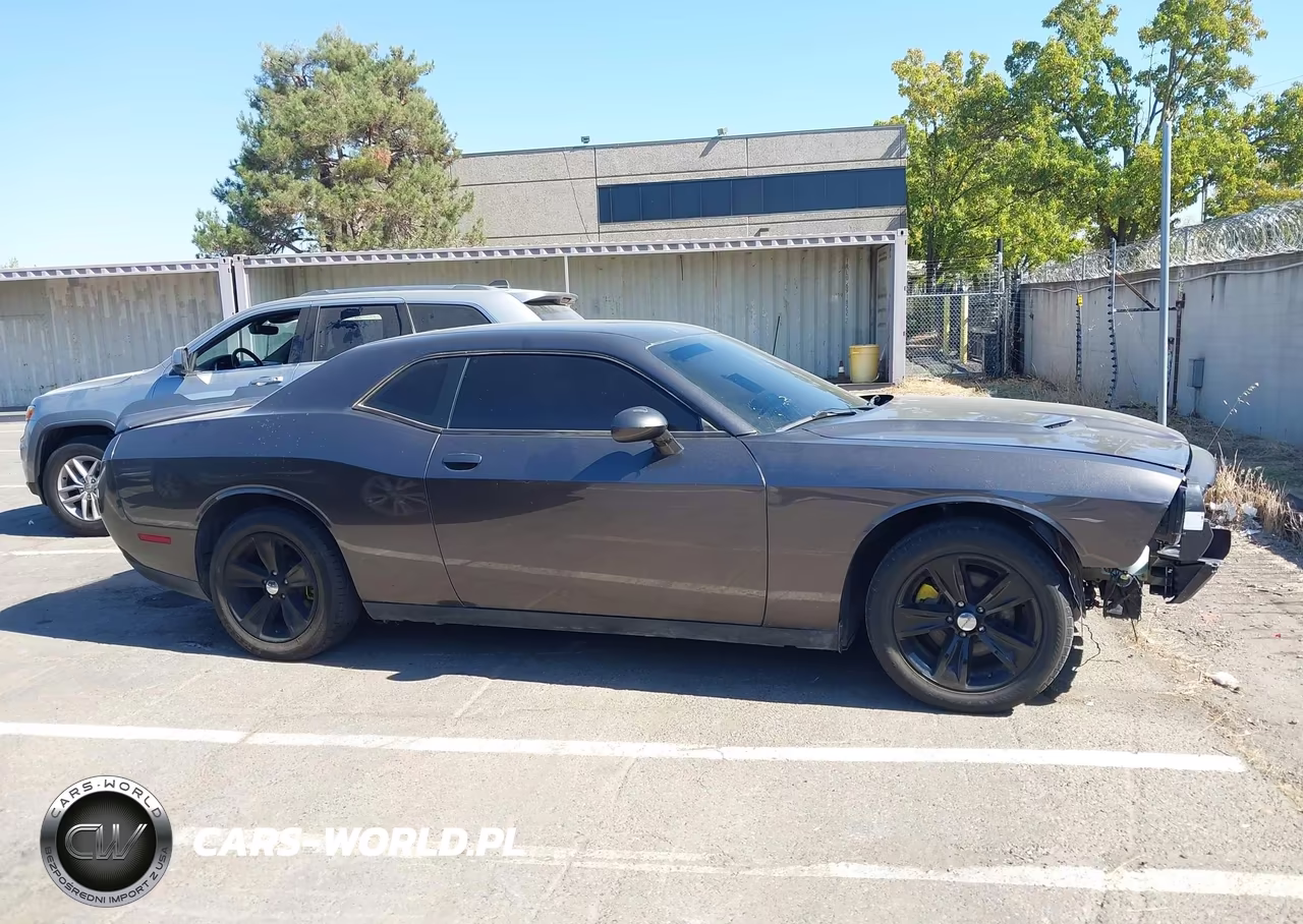 2019 Dodge Challenger Sxt VIN:2C3CDZAG4KH712564 - 13