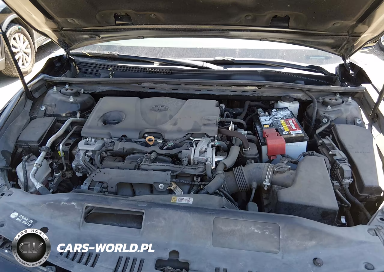 2019 Toyota Camry Xse VIN:4T1B61HK8KU268305 - 10
