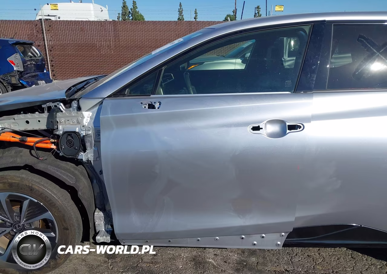 2024 Lexus Rz 300E Premium VIN:JTJABABBXRA006542 - 20