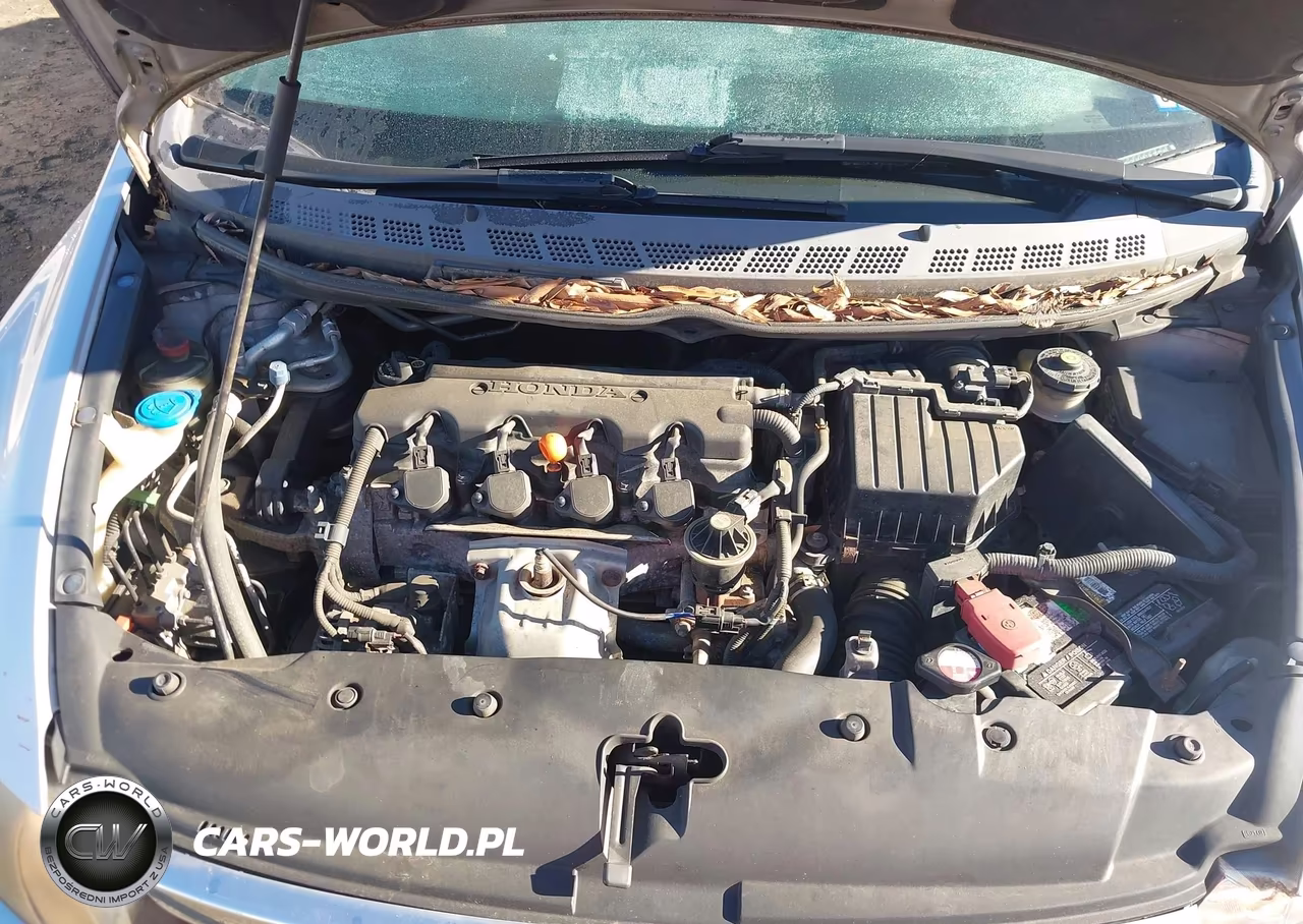 2006 Honda Civic Ex VIN:1HGFA16876L030986 - 10
