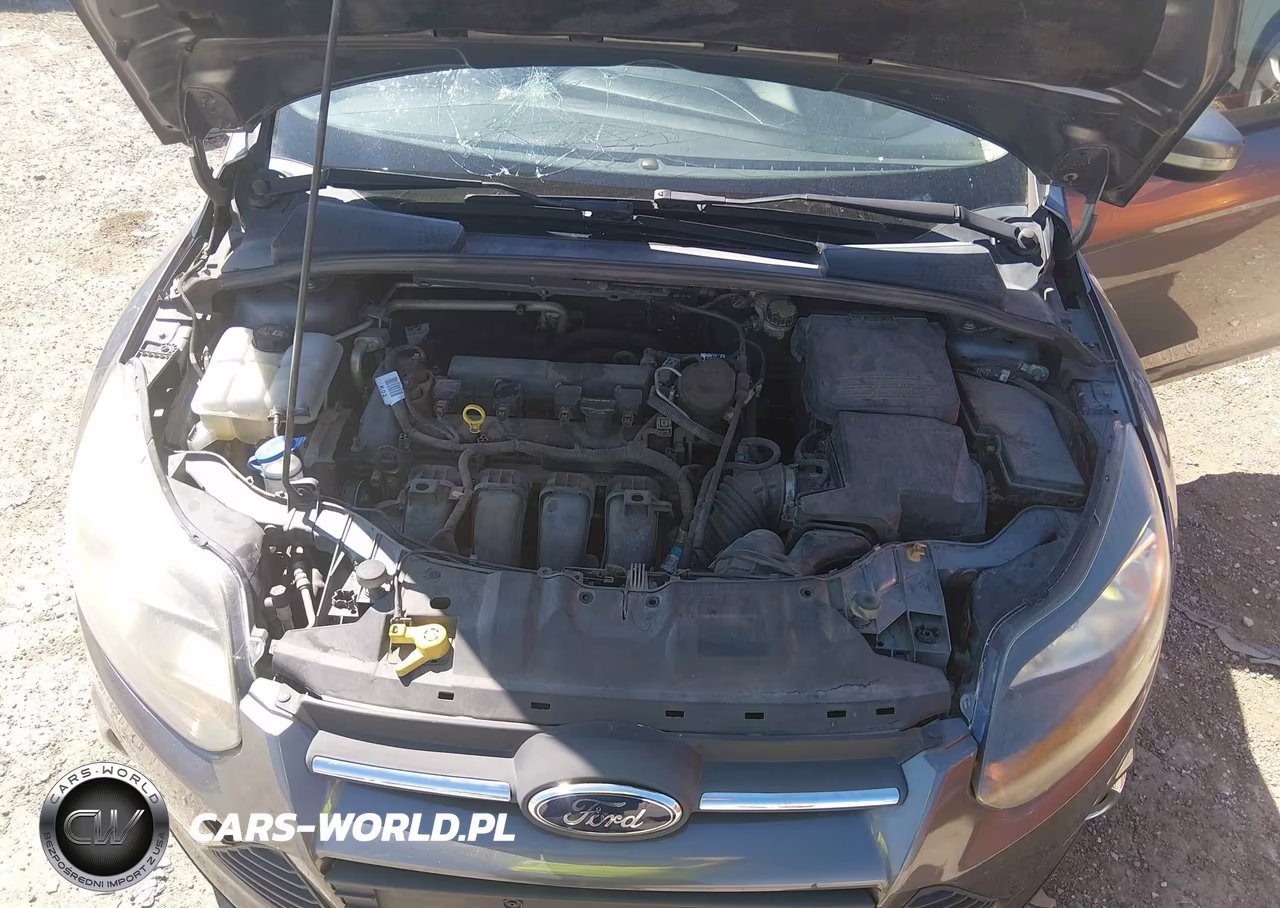 2014 Ford Focus Se VIN:1FADP3K2XEL184551 - 10