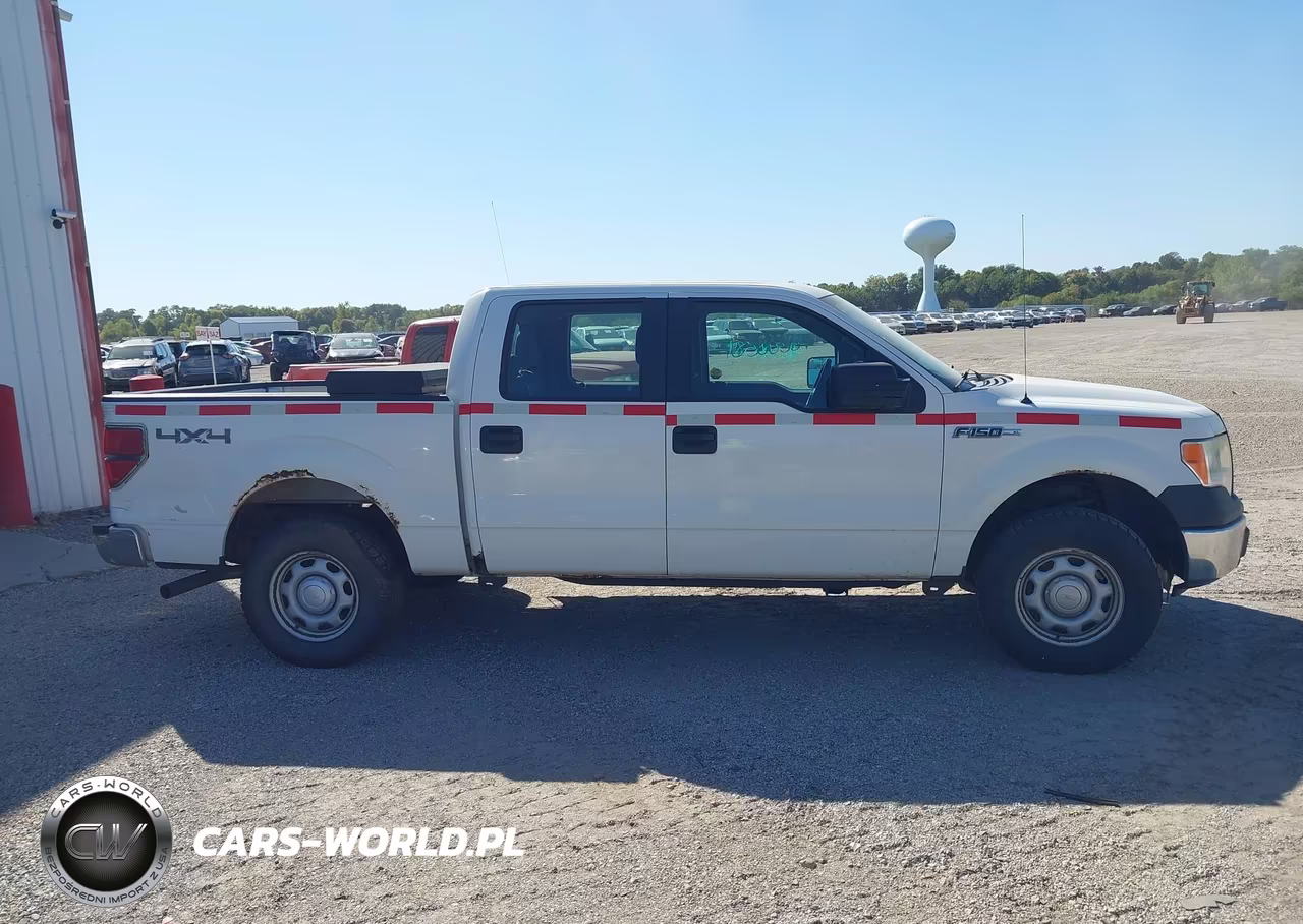 2013 Ford F-150 Xl VIN:1FTFW1EF6DKE77991 - 13