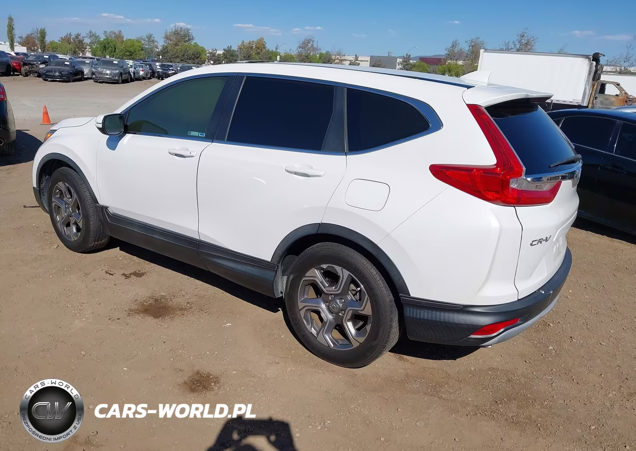 2019 Honda Cr-V Ex-L VIN:5J6RW1H88KA040226 - 3