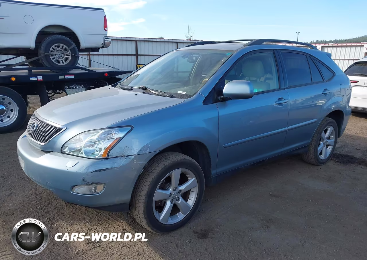 2004 Lexus Rx 330 VIN:JTJHA31U540067957 - 2
