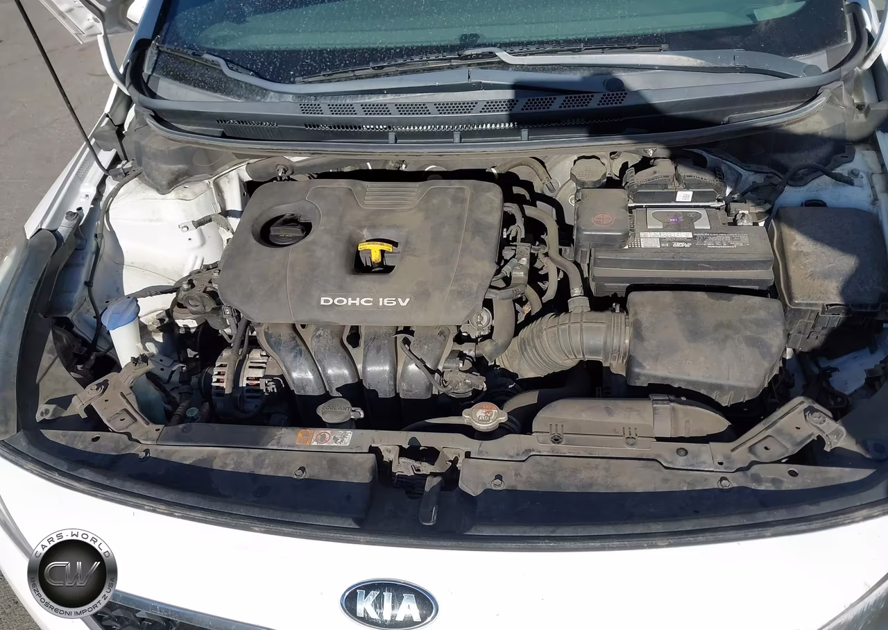 2017 Kia Forte Lx VIN:3KPFK4A72HE065152 - 10