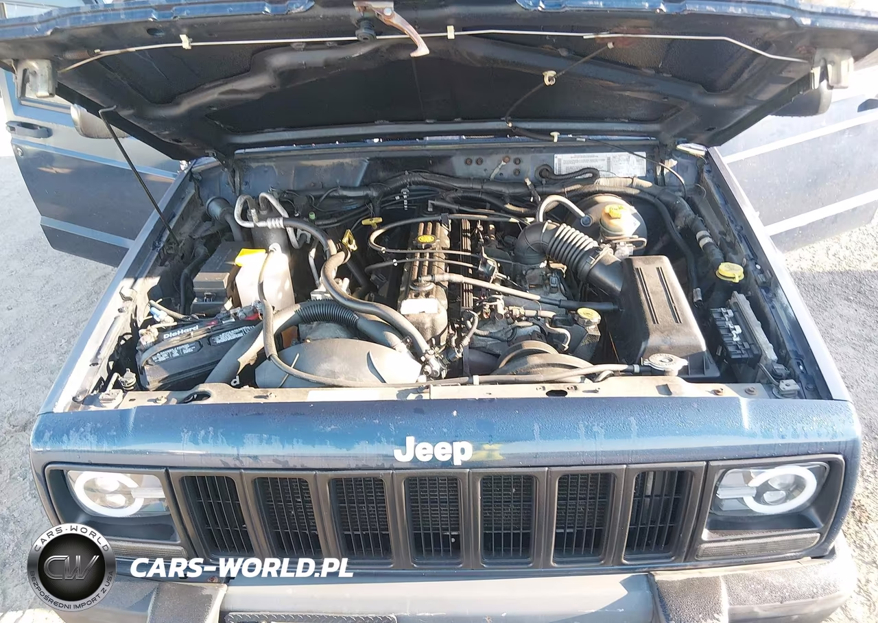 2000 Jeep Cherokee Se VIN:1J4FF28S4YL224533 - 10