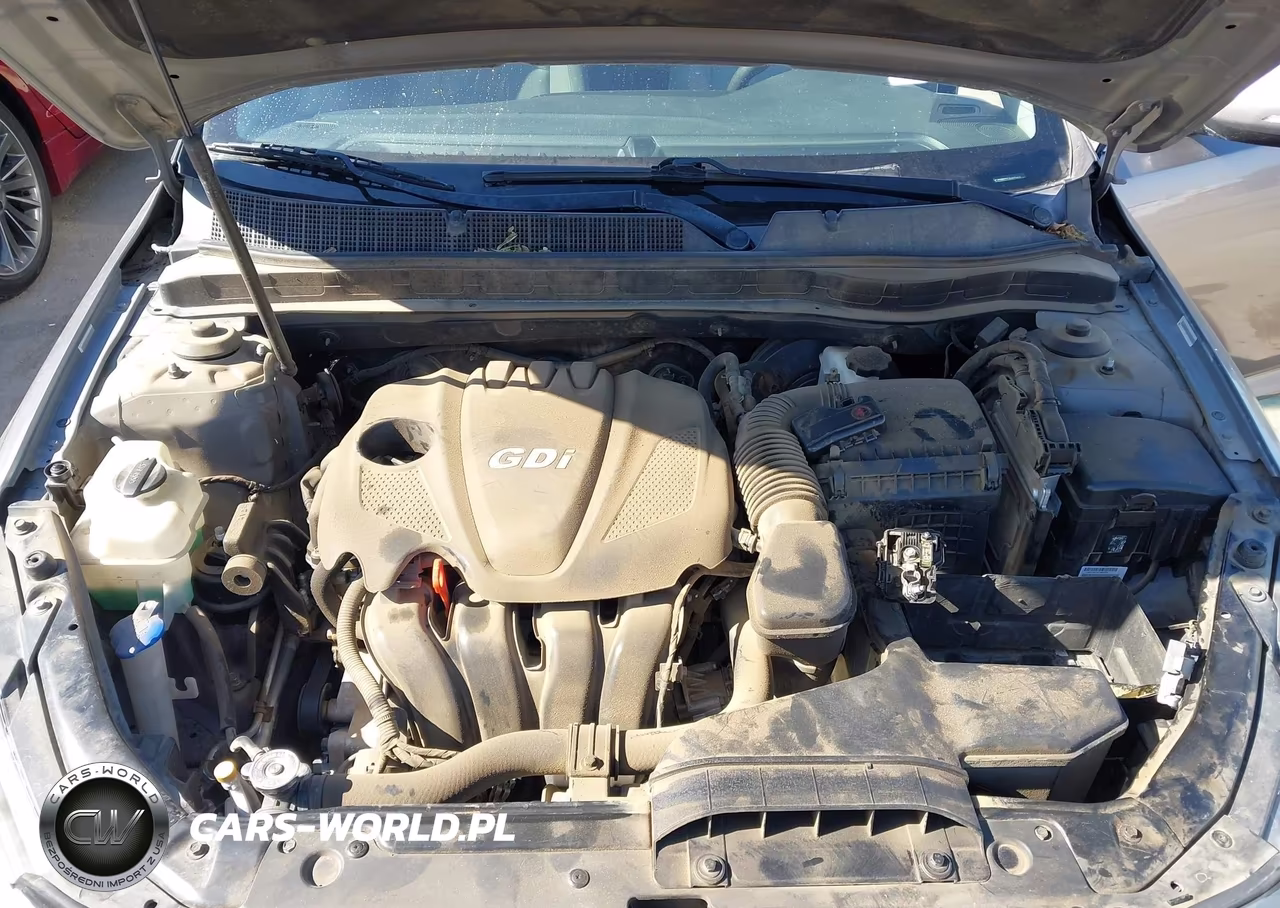 2014 Kia Optima Lx VIN:5XXGM4A79EG345250 - 10