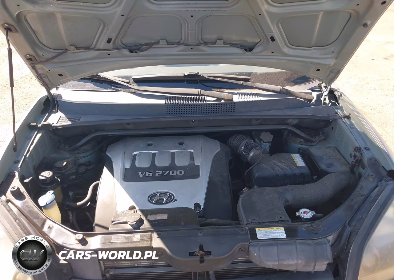 2005 Hyundai Tucson Gls-Lx VIN:KM8JN72D45U207209 - 10
