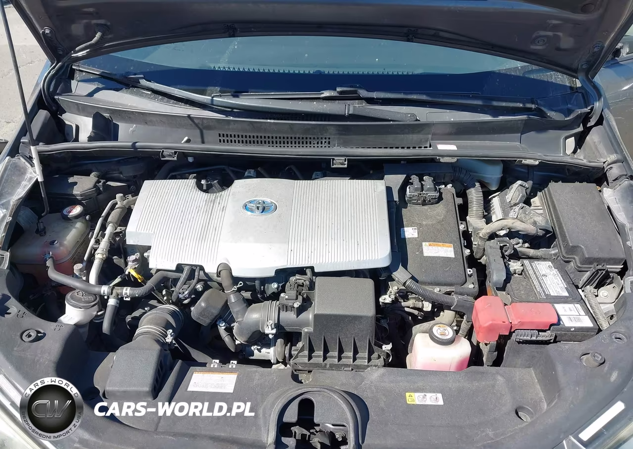 2019 Toyota Prius Xle VIN:JTDKARFU0K3090353 - 10