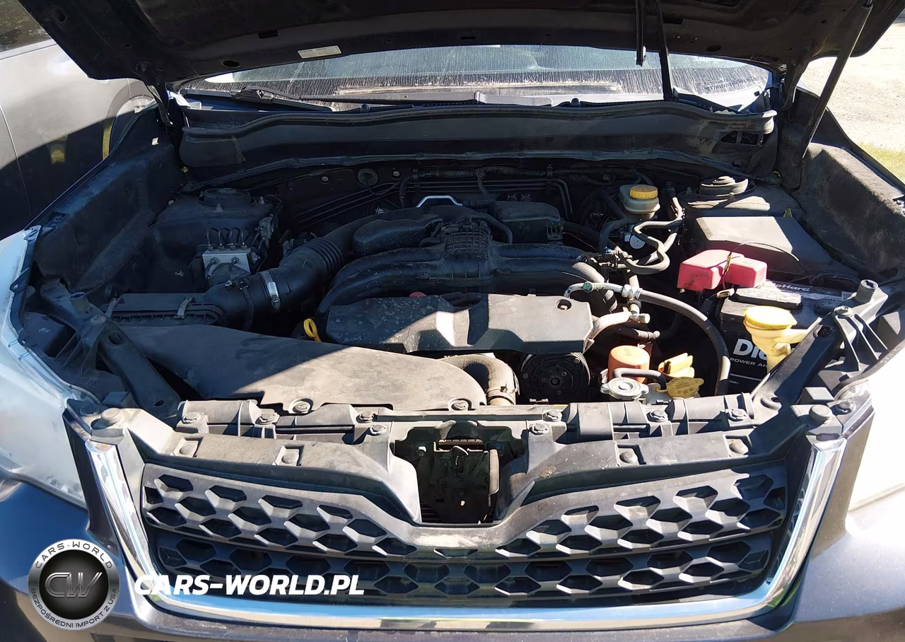 2014 Subaru Forester 2.5I VIN:JF2SJAAC7EH425987 - 10