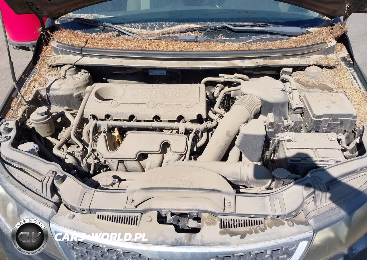 2013 Kia Forte Ex VIN:KNAFU4A29D5719890 - 10