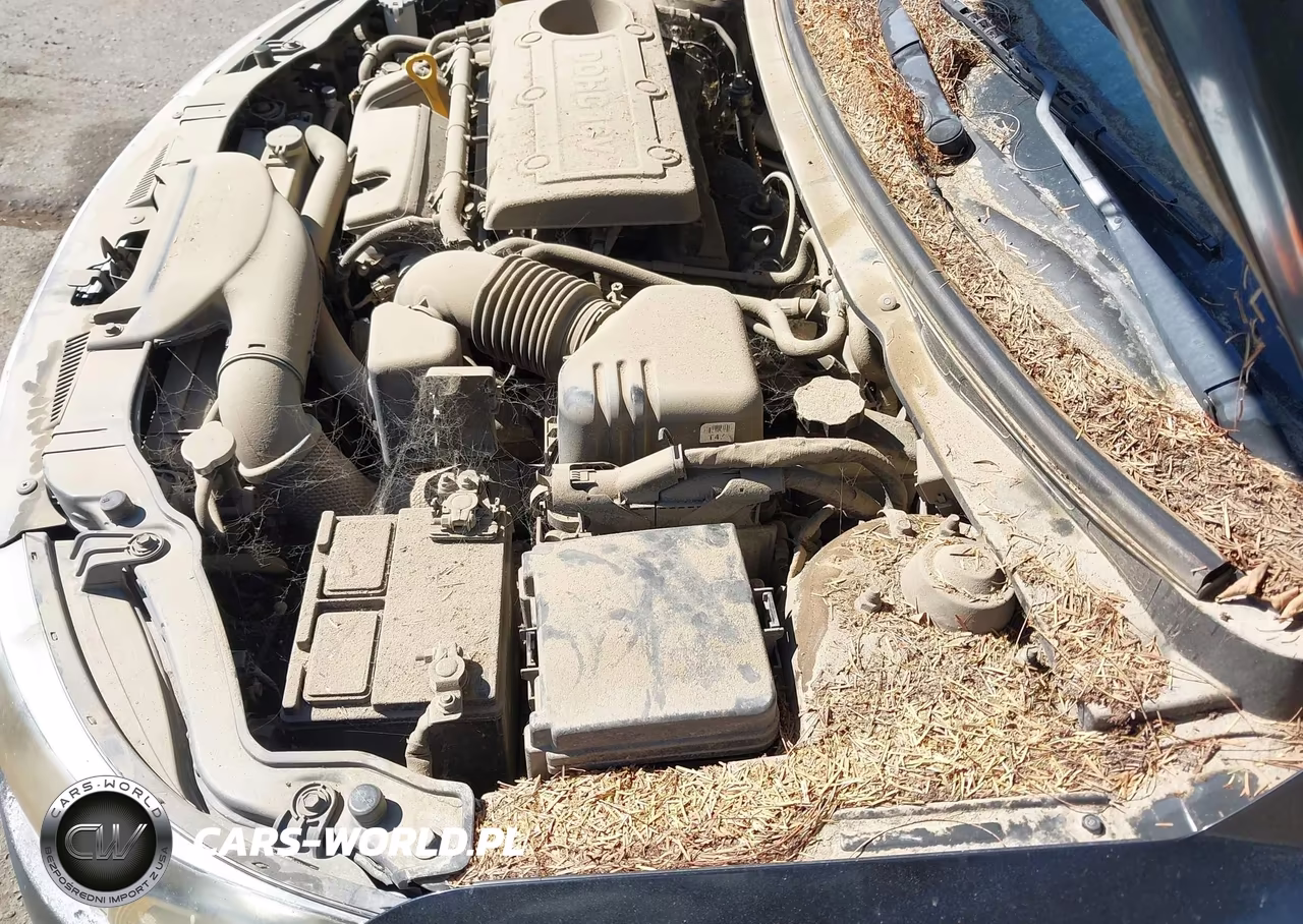 2013 Kia Forte Ex VIN:KNAFU4A29D5719890 - 12